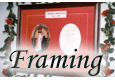 Framing
